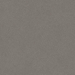 Tarkett Rubby Cold Dark Grey 25145045